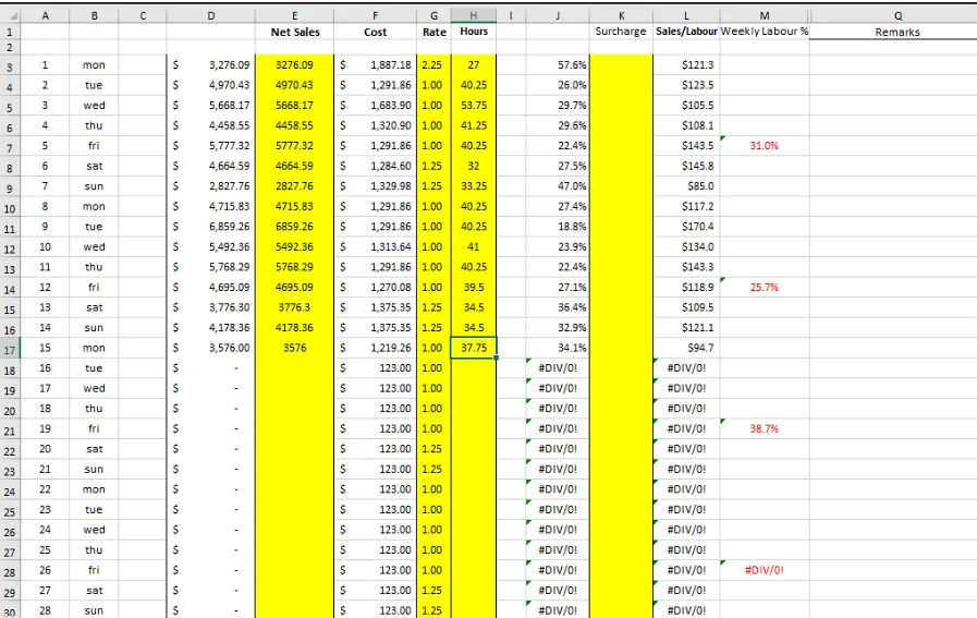 Validated spreadsheet fields