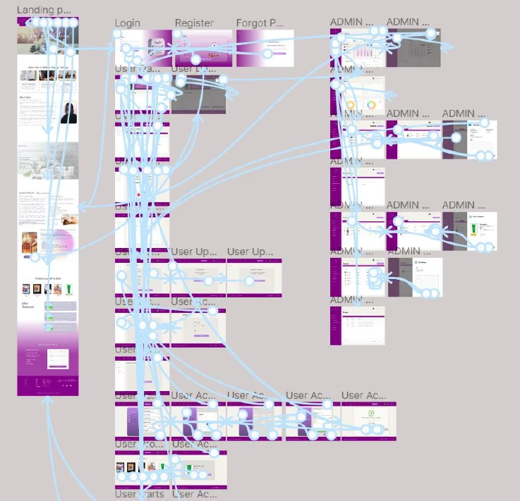 Connected prototype overview